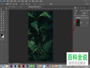 如何在PS盖印图层