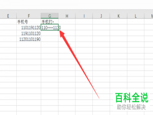如何在电脑版Excel中打码隐私数字