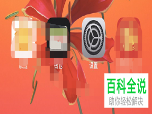 如何在iPhone苹果手机中设置原彩显示