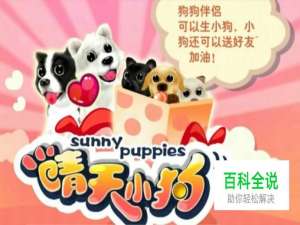 晴天小狗攻略