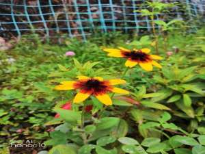 企业私域流量运营（企业微信私域流量）