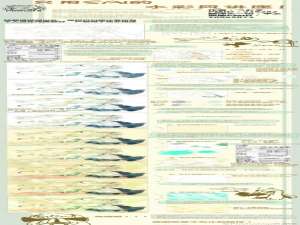 水彩手绘设计技巧及方法!