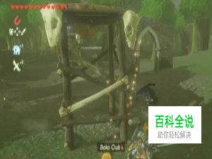 塞尔达传说dlc怎么用