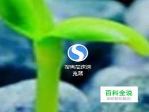 搜狗浏览器主页被篡改如何恢复