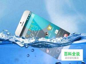 手机掉进水里，怎么办