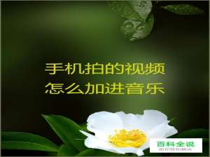 手机拍的视频怎么加进音乐