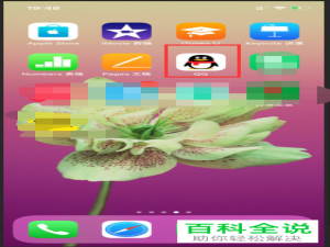 手机QQ软件不看好友动态功能怎么开启