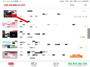 手机纵横小说的语音朗读功能如何使用