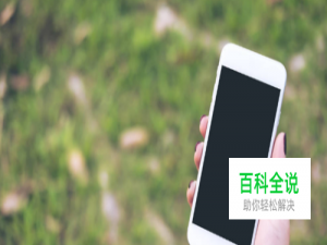 手机怎么开启4G网络