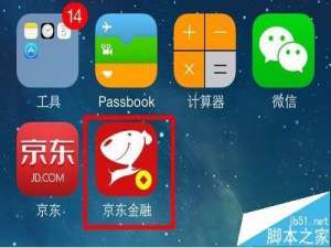 手机怎么查看京东白条的详细信息?