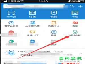 手机支付宝软件中蚂蚁森林种树实景图如何查看
