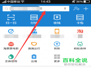 手机支付宝中港澳通行证的证件号应该怎么查看