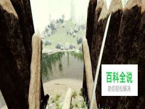 森林：防御墙如何制作大门