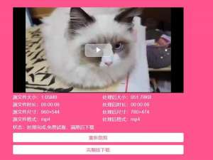 视频如何转换格式（视频格式转换器哪个最好）