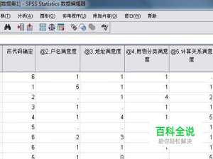 spss计算满意度、满意率时--均值过程，一步解决