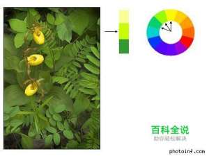 摄影构图与视觉设计要素