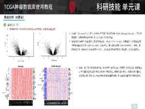 TCGA怎么用
