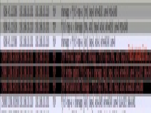 TCP超时/丢失重传