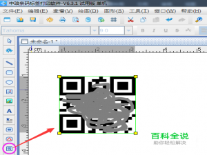 条码打印软件之二维码的优缺点