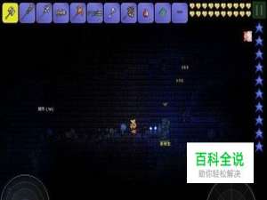 泰拉瑞亚怎么无限刷铂金锭