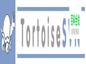 TortoiseSVN | 检出