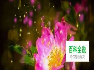 突然发现电脑的C盘快满了怎么办