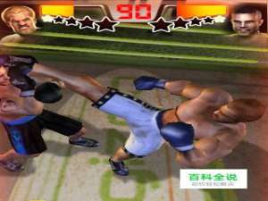 铁拳拳击安卓游戏攻略