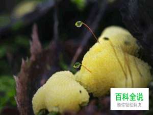 探索几何学设计