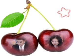 头条的视频保存在本地如何查看（头条新闻的视频怎么保存到手机上）