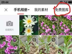 头条图片保存在哪里找（怎样在头条发文章和图片）