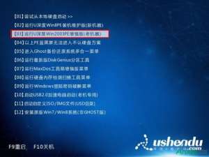 u深度u盘启动怎么将私密文件转为畸形文件