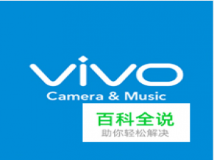 vivo手机救砖教程