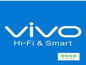 vivo手机更新系统出现英文字母怎么办？