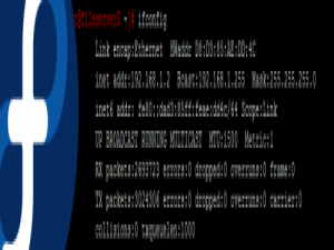 VM虚拟机中的Fedora设置固定IP上网的方法