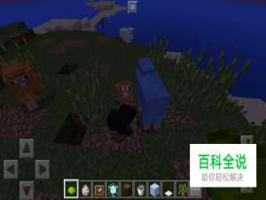 我的世界手机版怎么让羊变成彩色的？