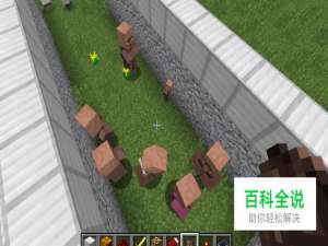 我的世界怎么繁殖村民及铁傀儡怎么打