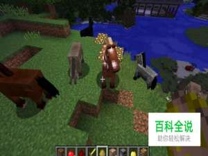 我的世界马如何繁殖