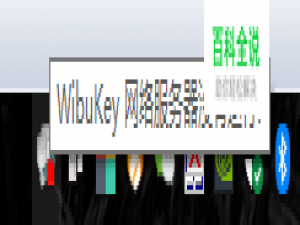 WibuKey 网络服务器没有运行！的解决方法