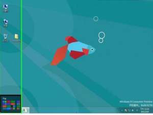 Windows8如何设置程序访问和计算机的默认值