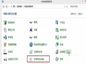 Win10系统如何开启生物识别功能