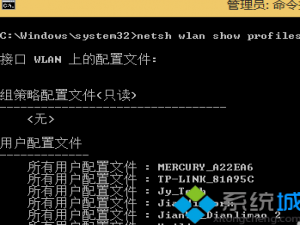 win8系统如何实用CMD命令查看无线网络记录