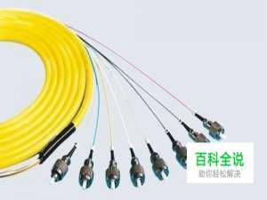 网络服务器带宽Mbps、Mb/s、MB/s的区别