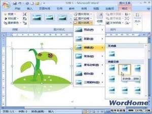 Word 2007技巧:设置剪贴画映像效果