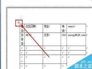 word表格跨页断行怎么办 word表格跨页断行的解决办法