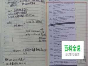 Word怎么在一张纸上打印多页内容（缩印）