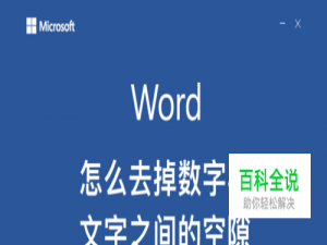 word怎么去掉数字与文字之间的空隙