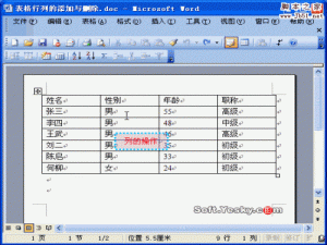 Word文档中的表格添加或删除某行和某列的方法介绍