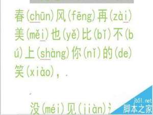 Word文档中怎么将拼音加到字体的右边?