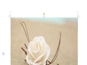 wps背景图片大小怎么设置