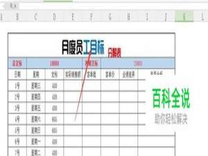 WPS/EXCEL表格怎么给文字/表格填充不同的颜色